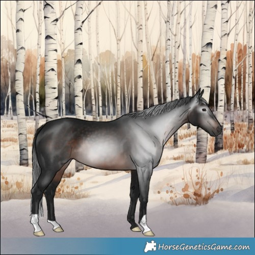 Horse Color:Gray Brown 