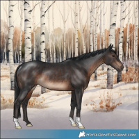 Horse Color:Brown Rabicano