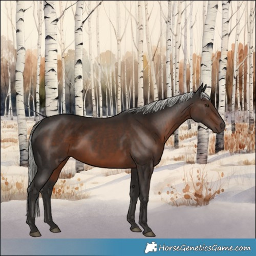 Horse Color:Liver Chestnut Mushroom 