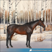 Horse Color:Brown Mushroom Rabicano