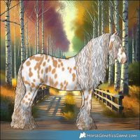 Horse Color:Palomino Leopard