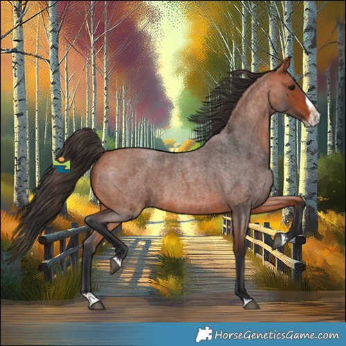 Horse Color:Bay Roan Splash 