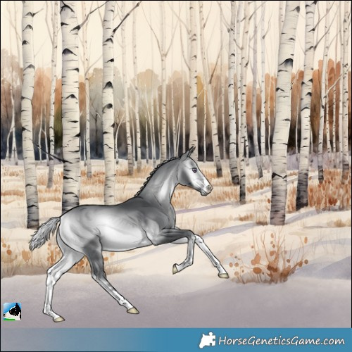 Horse Color:Silver Brown Chinchilla Onyx 