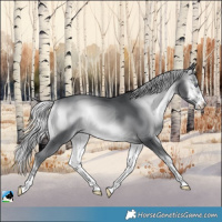 Horse Color:Silver Brown Chinchilla Onyx 
