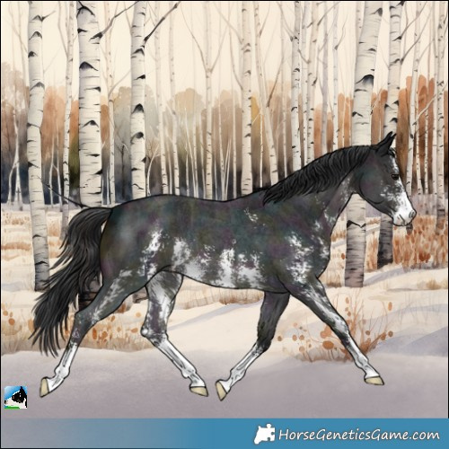 Horse Color:Midnight Brown Ice Sabino 