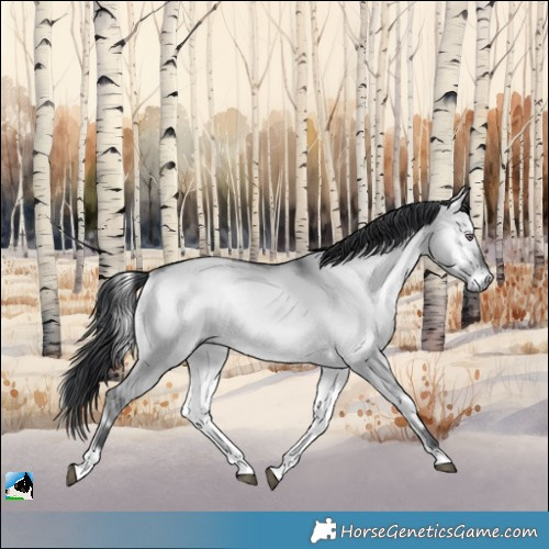 Horse Color:Brown Chinchilla Onyx 