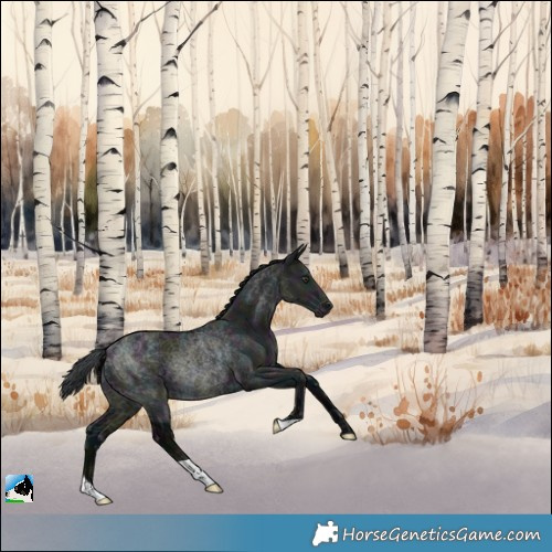 Horse Color:Midnight Grullo Chinchilla Rabicano 