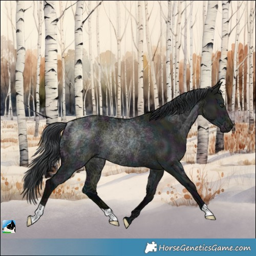 Horse Color:Midnight Grullo Chinchilla Rabicano
