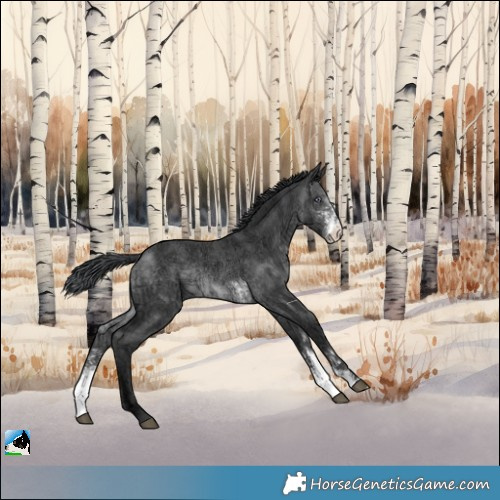 Horse Color:Brown Chinchilla Ice Sabino 