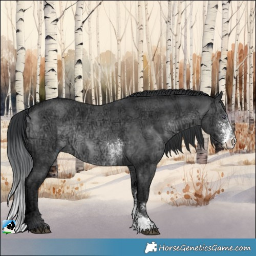 Horse Color:Brown Chinchilla Ice Sabino 