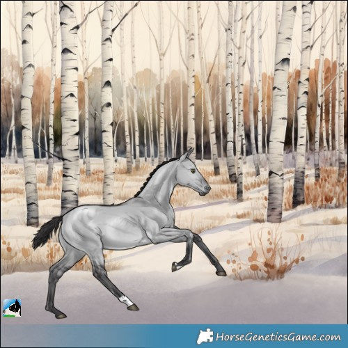 Horse Color:Smoky Grullo Chinchilla Rabicano 