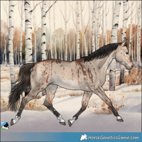 Horse Color:Bay Dun Mushroom Brindle 