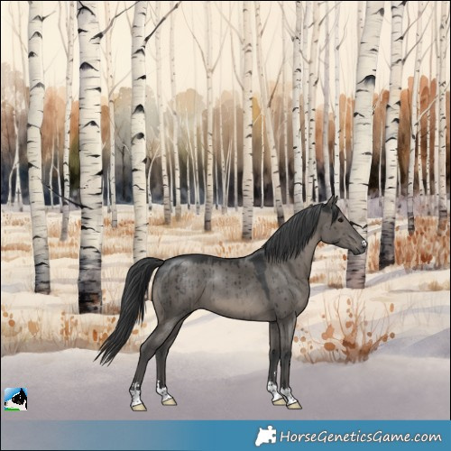 Horse Color:Grullo Brindle