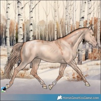 Horse Color:Gold Champagne Dun Tobiano
