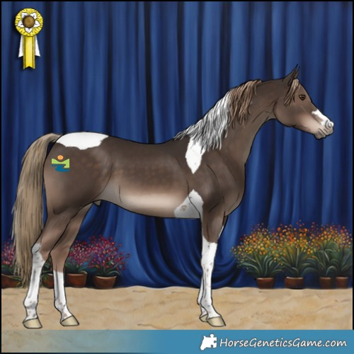 Horse Color:Liver Chestnut Tobiano 