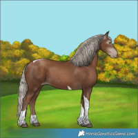 Horse Color:Gray Silver Black Pearl Tobiano 