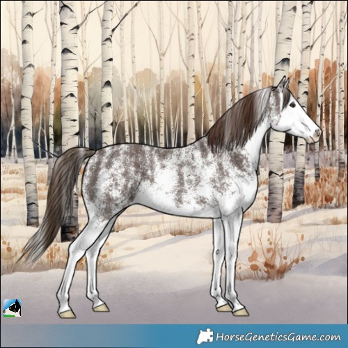 Horse Color:Powder White White Spotted Liver Chestnut Splash