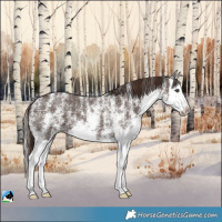 Horse Color:Powder White White Spotted Liver Chestnut Splash 