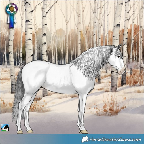 Horse Color:White Spotted Black Splash Rabicano 