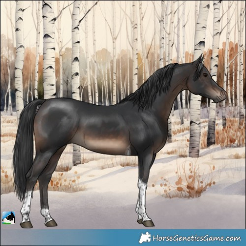 Horse Color:Brown Tobiano Rabicano