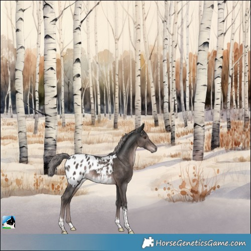 Horse Color:Gray Platinum Liver Chestnut Tobiano Appaloosa Rabicano 