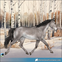 Horse Color:Platinum Liver Red Dun Rabicano 