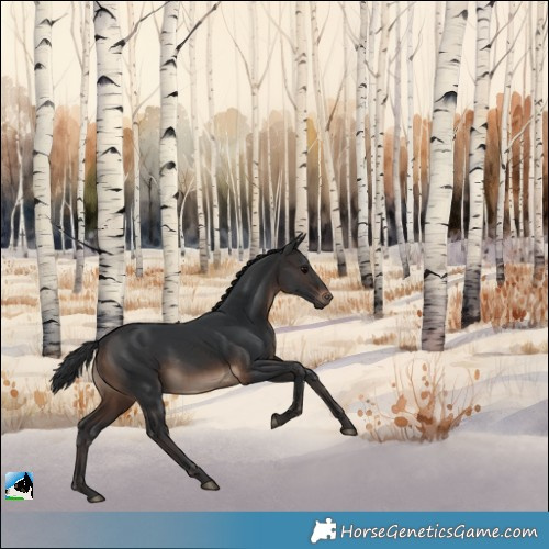 Horse Color:Brown Rabicano 