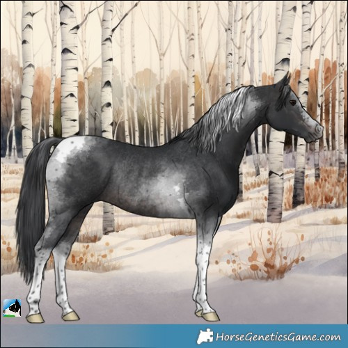 Horse Color:Platinum Brown Tobiano Rabicano 