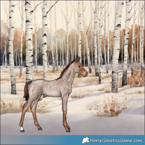 Horse Color:Red Roan 