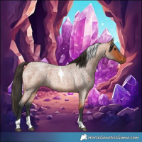 Horse Color:Bay Roan Tobiano 