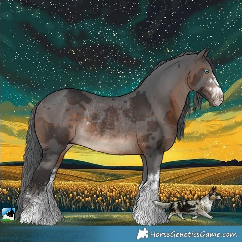 Horse Color:White Spotted Brown Merle Rabicano