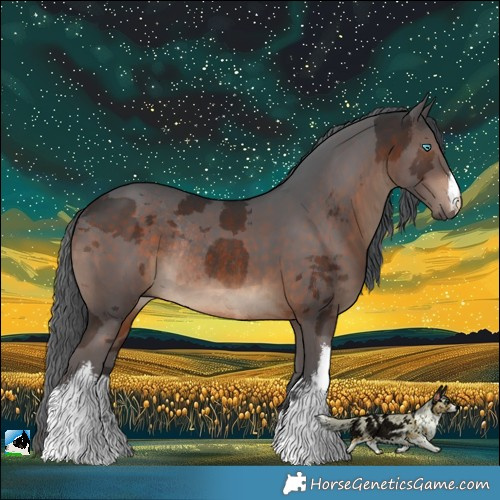 Horse Color:White Spotted Brown Merle Rabicano 