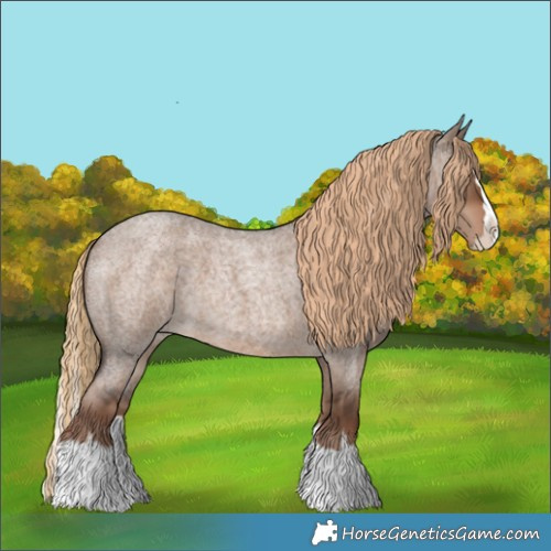 Horse Color:Liver Red Dun Roan Splash 