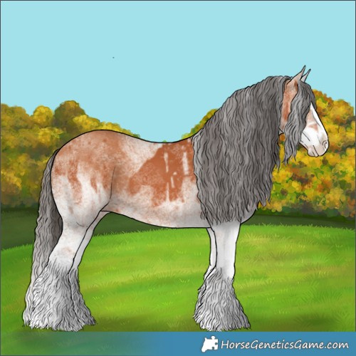 Horse Color:White Spotted Bay Splash  and White Spotted Bay Splash 