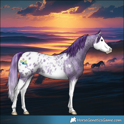 Horse Color:Watercolor Smoky Blue Ice Roan Splash Appaloosa 