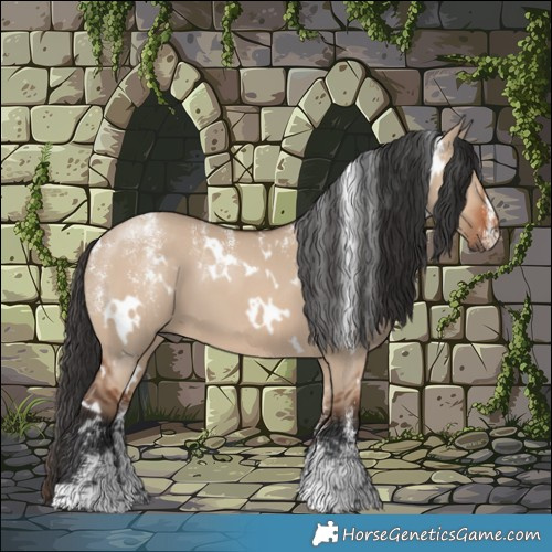 Horse Color:Powder White White Spotted Brown Dun 