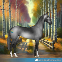 Horse Color:Gray Black 