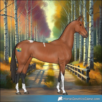 Horse Color:Bay Tobiano 