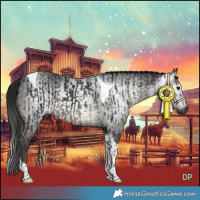 Horse Color:Gray Black Tobiano  and Gray Smoky Black Tobiano 