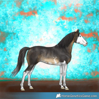 Horse Color:Buckskin Splash Rabicano
