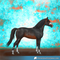 Horse Color:Brown 