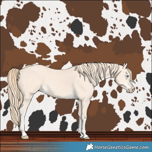 Horse Color:Perlino 