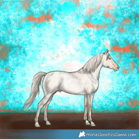 Horse Color:Chocolate Palomino Roan Pearl Dun Brindle