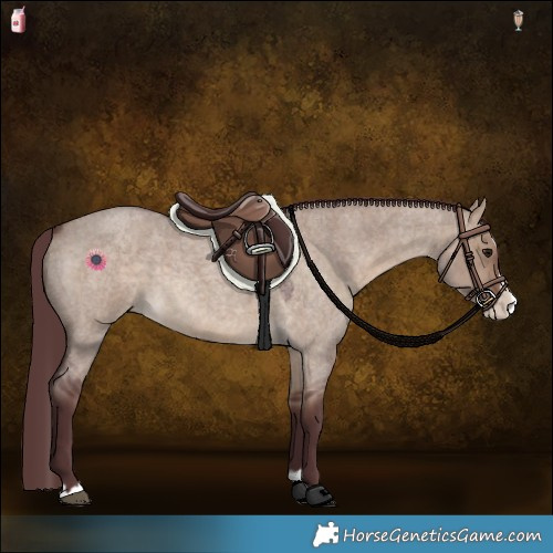 Horse Color:Chocolate Brown Roan Dun Splash 