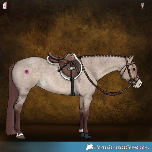 Horse Color:Chocolate Brown Roan Dun Splash 