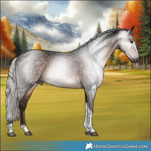 Horse Color:Gray Silver Brown Tobiano 