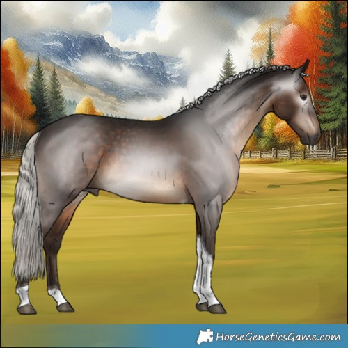 Horse Color:Gray Silver Brown Tobiano 