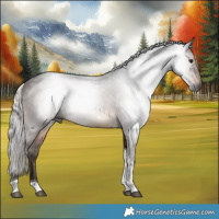 Horse Color:Gray Silver Brown Tobiano 