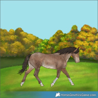 Horse Color:Sable Champagne Tobiano Skewed LP Spotted 