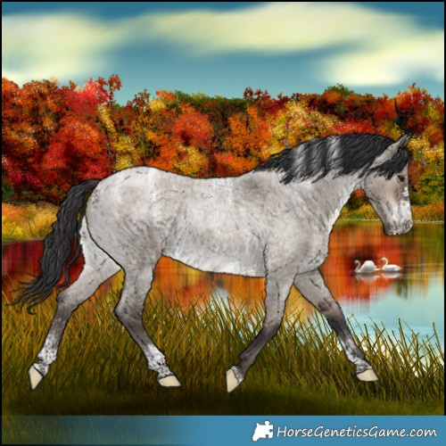 Horse Color:Powder White Brown Roan Dun 